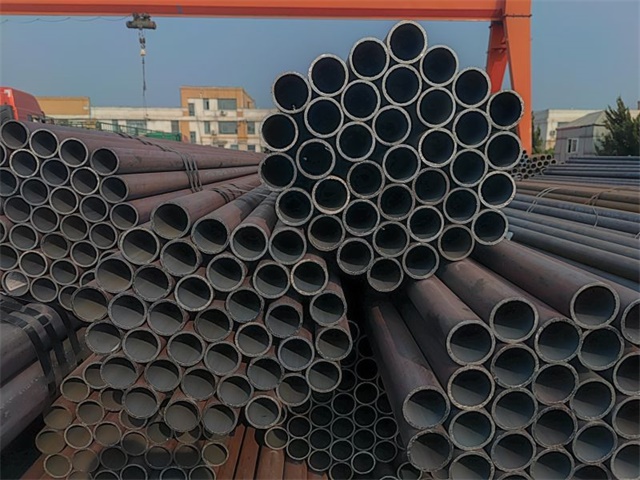 IMG_20230401_153830.jpg IMG_20230401_153830.jpg